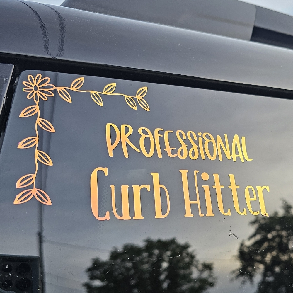 Professional curb Hitter